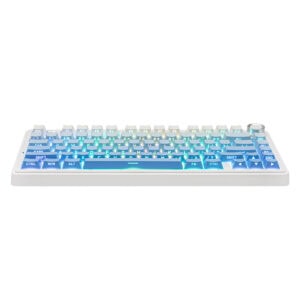 Epomaker X Aula F75 Mavi Leobog Reaper Switch Rgb Kablosuz Hotswap Mekanik Gaming Klavye 2
