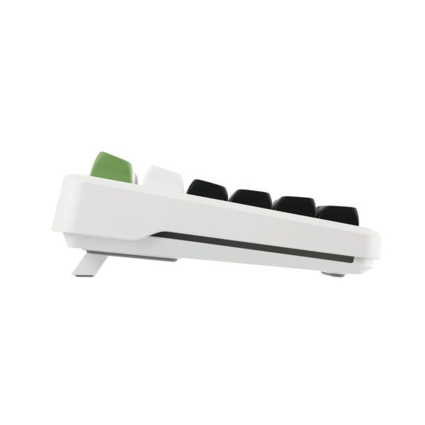 Epomaker X Aula F87 Pro White Green Leobog Greywood V4 Switch Rgb Kablosuz Hotswap Mekanik Gaming Klavye 4