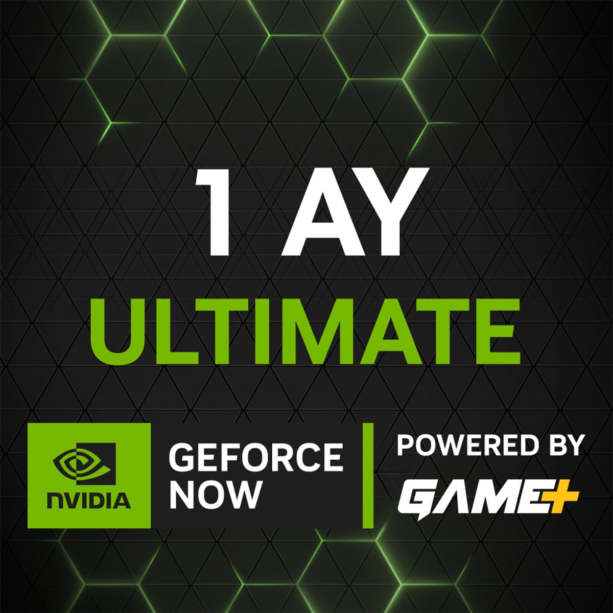 Nvidia Geforce Now Ultimate 1 Aylik