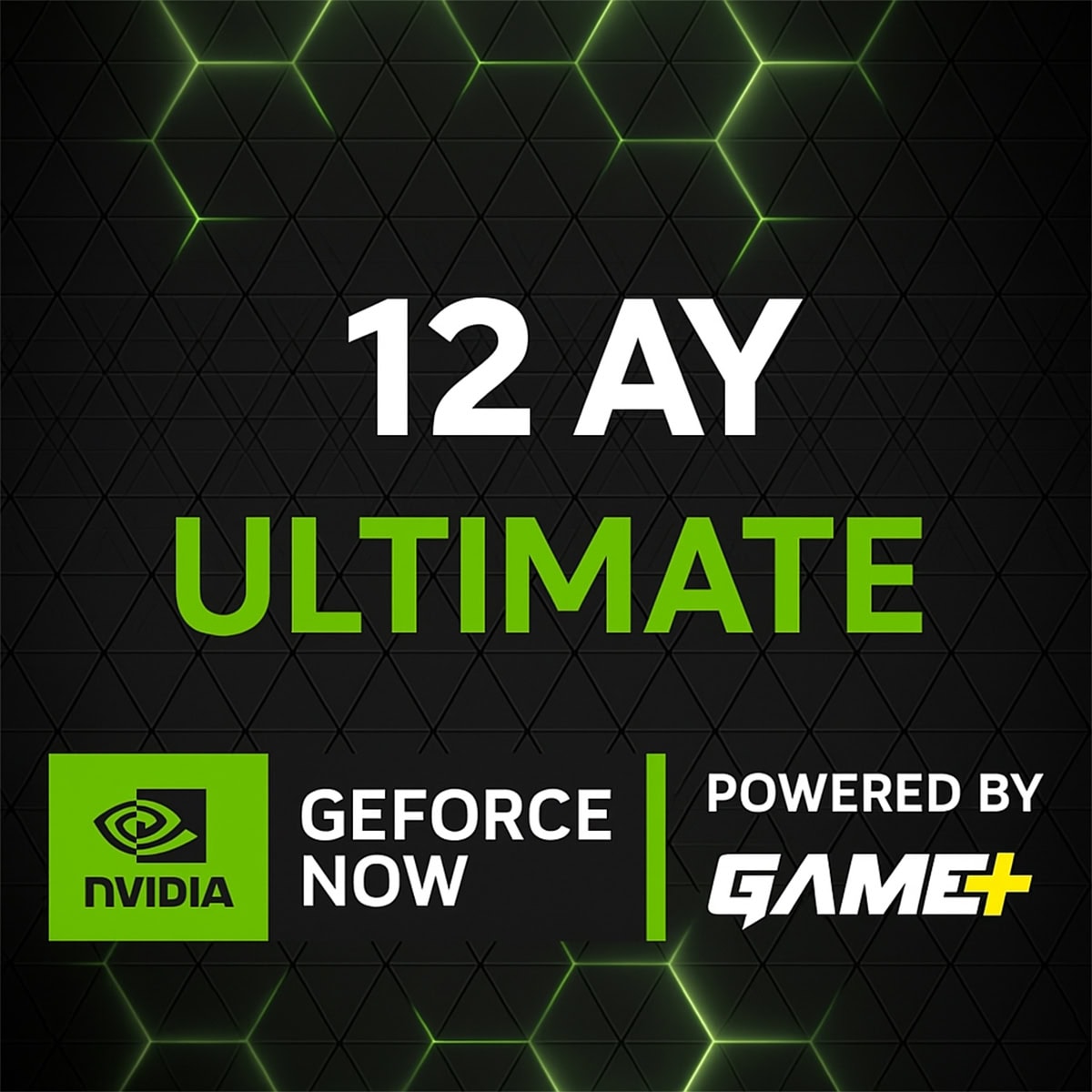 Nvidia Geforce Now Ultimate 12 Aylik