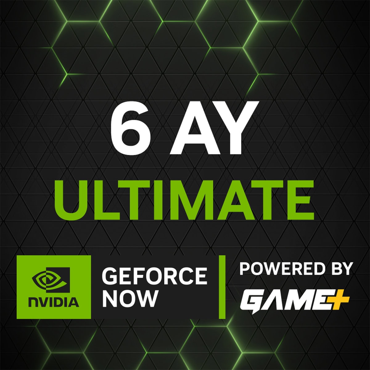 Nvidia Geforce Now Ultimate 6 Aylik