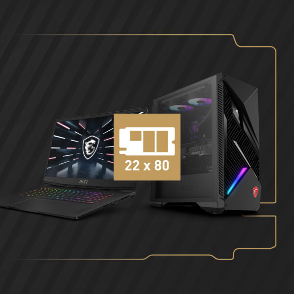 MSI SPATIUM M450 V1 1TB M.2 SSD H8
