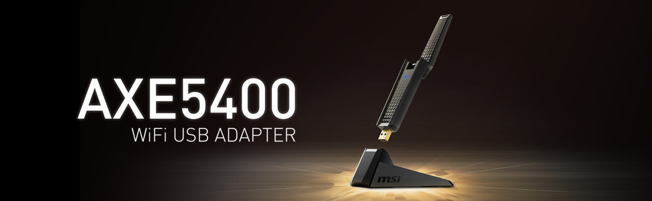 MSI AXE5400 USB Adaptör H1