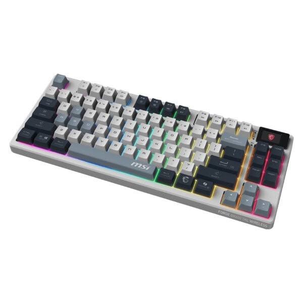 Msi Forge Gk600 Tkl Wireless Sky Rgb Kablosuz Hotswap Türkçe Mekanik Gaming Klavye 6