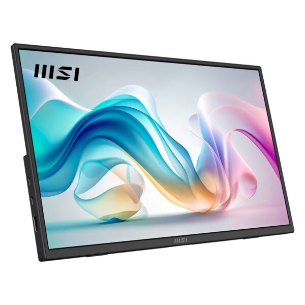 Msi Pro Mp165 E6 15.6 Inç 60hz 4ms Full Hd Ips Monitör 2