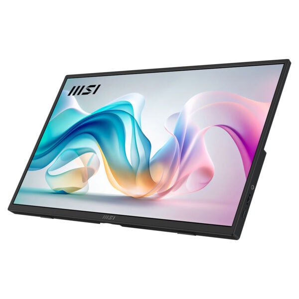 Msi Pro Mp165 E6 15.6 Inç 60hz 4ms Full Hd Ips Monitör 3