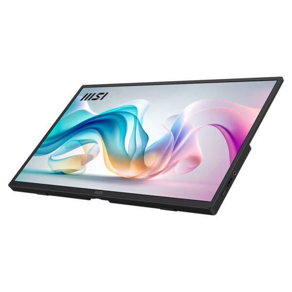Msi Pro Mp165 E6 15.6 Inç 60hz 4ms Full Hd Ips Monitör 5