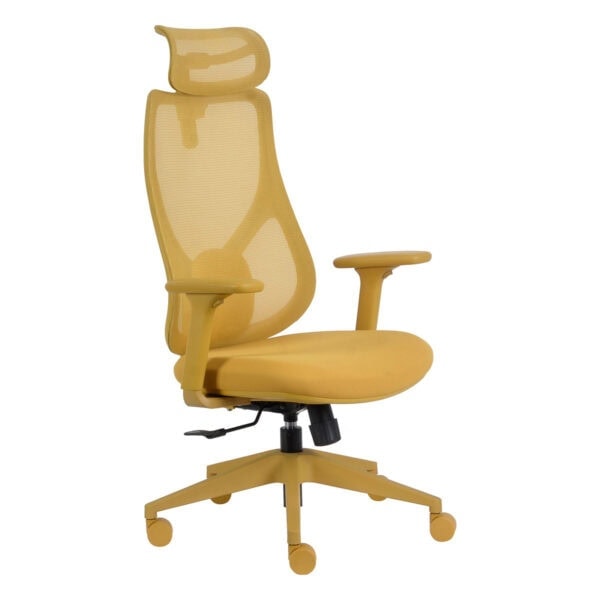 Ofis sandalyesi, ergonomik ofis koltuğu, rahat çalışma sandalyesi, ayarlanabilir sırt ve oturma alanı, ofis mobilyaları, çalışma ortamı konforu, ofis ergonomisi, modern çalışma sandalyesi, ofis için ideal.