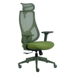Yüksek konforlu yeşil ofis ergonomik sandalye, ayarlanabilir sırt ve başlık desteği ile modern tasarım. Ofis ve oyun odaları için ideal ofis çalışma sandalyesi.