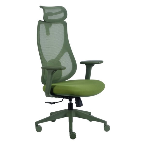 Yüksek konforlu yeşil ofis ergonomik sandalye, ayarlanabilir sırt ve başlık desteği ile modern tasarım. Ofis ve oyun odaları için ideal ofis çalışma sandalyesi.