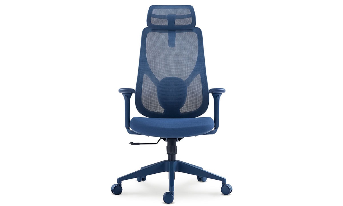 Canlı Renkler, Ergonomik Konfor