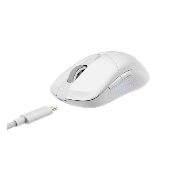 Yüksek hassasiyetli kablosuz gaming mouse, RGB aydınlatmalı, ergonomik tasarım ve hızlı tepki süresi ile oyun performansını artırır. USB şarj kablosu ile kolay bağlantı ve kullanılabilirlik sağlar.