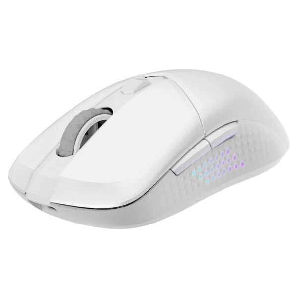 Gelişmiş oyun fareleri ve kablosuz fareler, profesyonel oyuncular ve kullanıcılar için ergonomik tasarım ve yüksek performans sunar. RGB aydınlatmalı, hassas ve dayanıklı oyun faresi, oyun deneyimini artırır.