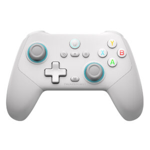 Yedek oyun kolu, kablosuz gaming kontrolörü, Thunderbot markasıyla, kumanda ve kontrol cihazı, oyun oynama deneyimini artıran yüksek performanslı gamepad, modern tasarım, teknik özellikler ile 3D oyunlar için ideal.