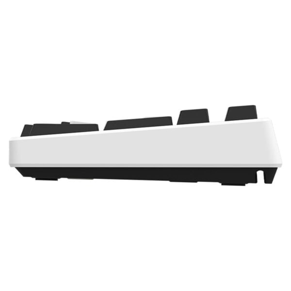 Yüksek kaliteli gaming mekanik klavye, siyah ve beyaz renk kombinasyonu, ergonomik tasarım, gelişmiş tuş tepkisi, bilgisayar oyunları ve ofis kullanımı için ideal, RGB ışıklandırmasız, dayanıklı yapı.