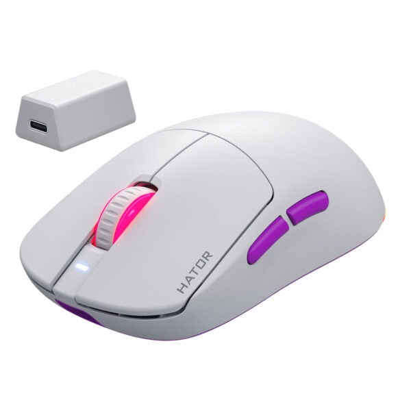 Yüksek hassasiyetli kablosuz oyun faresi ve yedek usb alıcısı, ergonomik tasarım ve RGB aydınlatma ile oyun performansını artırır. Profesyonel gaming mouse, yüksek DPI sensörleri ve programlanabilir tuşlar içerir.