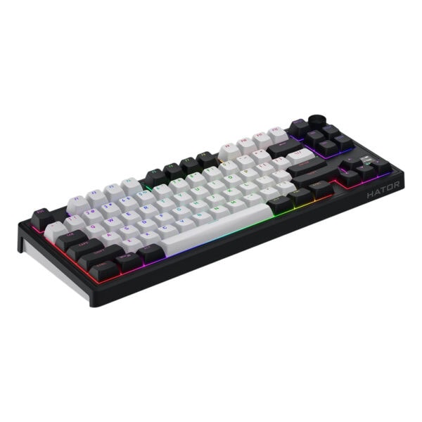 RGB aydınlatmalı oyun klavyesi, siyah ve beyaz renkli tuşlarla, çok renkli ışık efektiyle, yüksek performanslı oyuncu klavyesi, dayanıklı yapısı ve ergonomik tasarımıyla oyun deneyimini artırır.