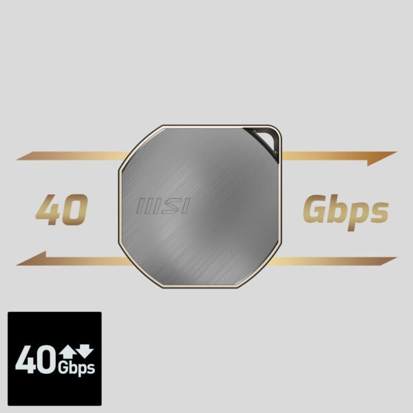 MSI DATAMAG 40Gbps 1TB Taşınabilir SSD H4