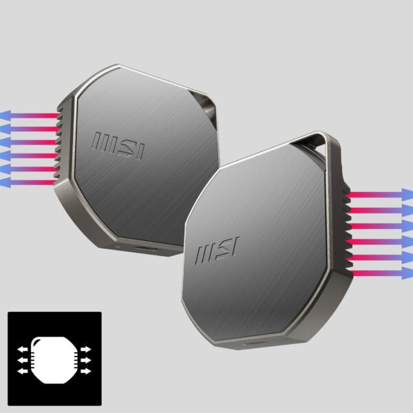 MSI DATAMAG 40Gbps 1TB Taşınabilir SSD H10