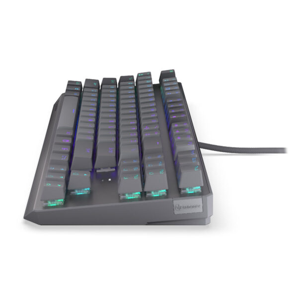 Endorfy Thock V2 Tkl Endorfy Red Switch Hotswap Argb İngilizce Mekanik Gaming Klavye (ey5a126) 6