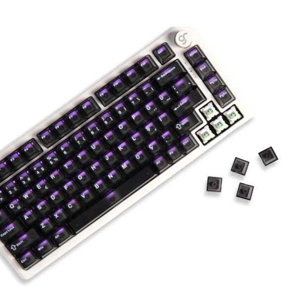Gameraider Cherry Single Shot Pc (full Set) Mor Transparan Keycap Set 5