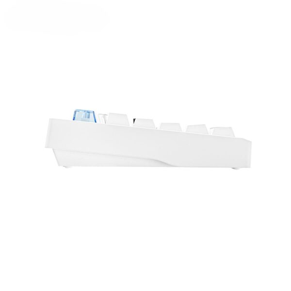 Fantech Mk921 Maxfit8 White White Switch Kablosuz İngilizce Mekanik Gaming 3