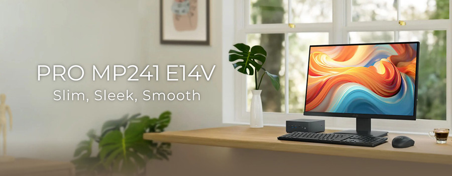 MSI PRO MP241 E14V Monitör H2