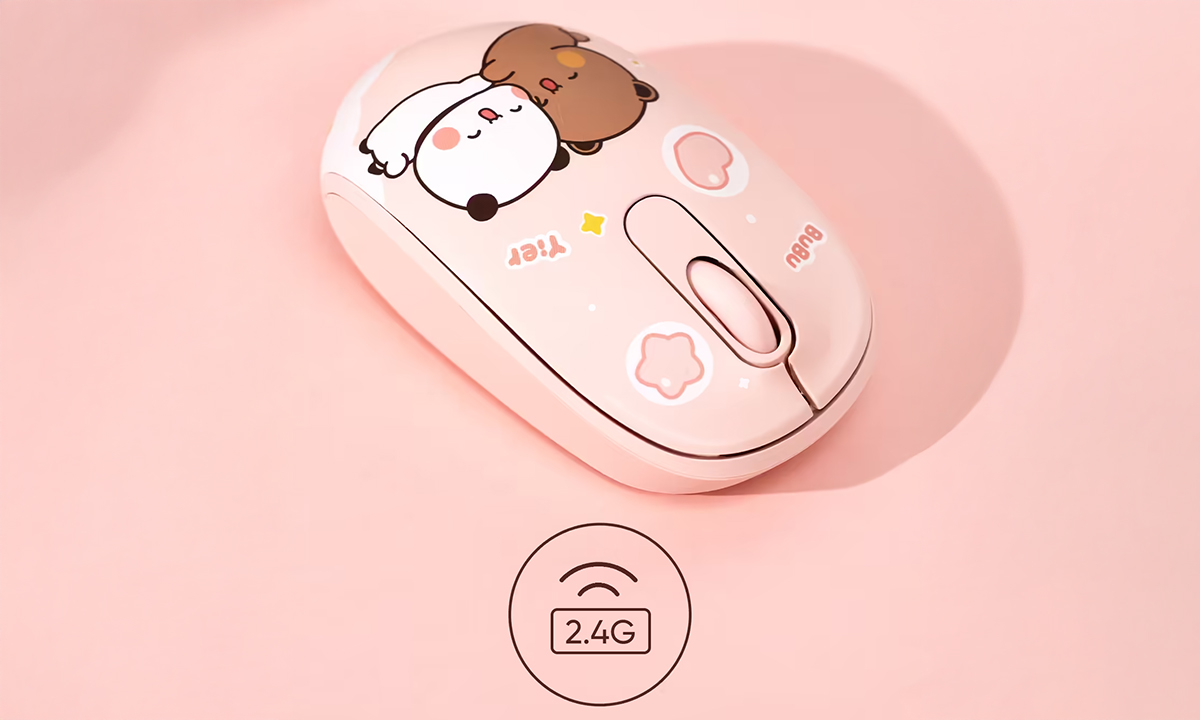 2,4 GHz Kablosuz Bağlantı