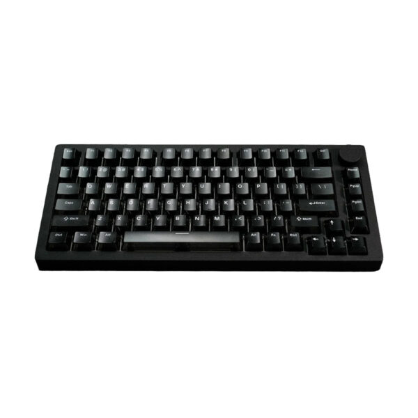 Akko Monsgeek M1 V5 He Black Transparent Astroaim Manyetik Switch 8k Hz Hall Effect Hotswap Rgb Kablosuz İngilizce Gaming Klavye 5