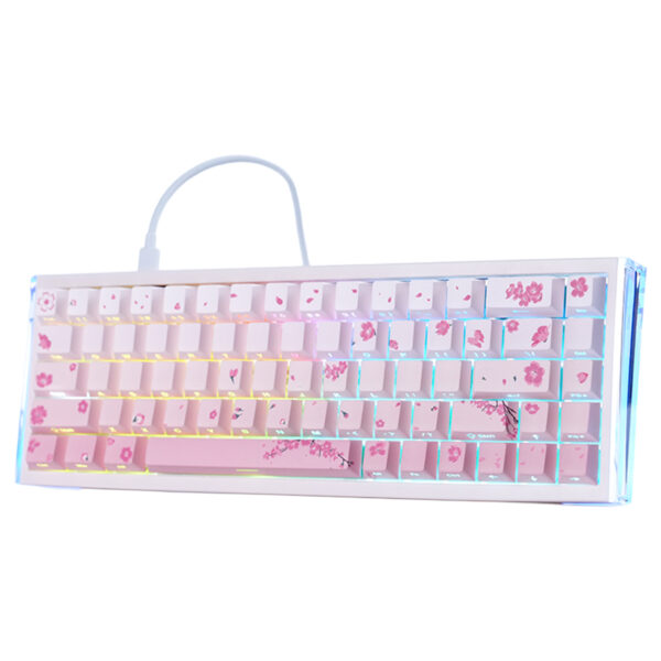Dareu Cool68 Cherry Blossom Ice Blade Manyetik Switch 8k Hz Hall Effect Hotswap Rgb Ingilizce Gaming Klavye 2