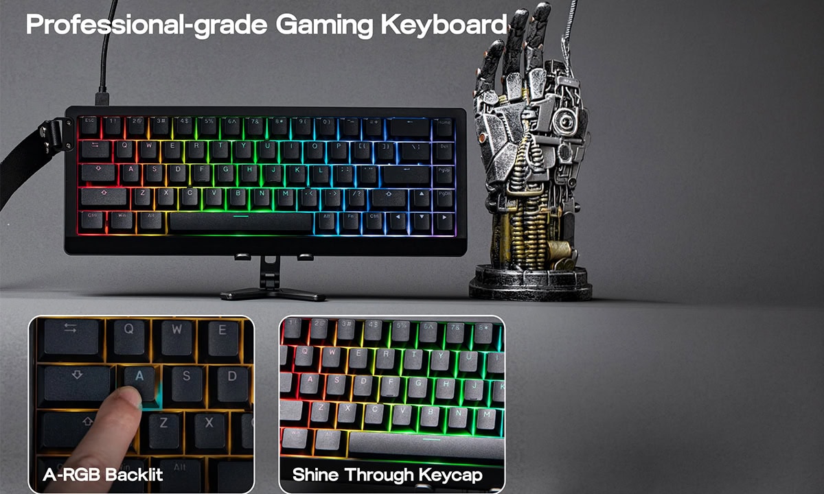 Özel A-RGB Özellikli Işık Geçirgen Arka Işık