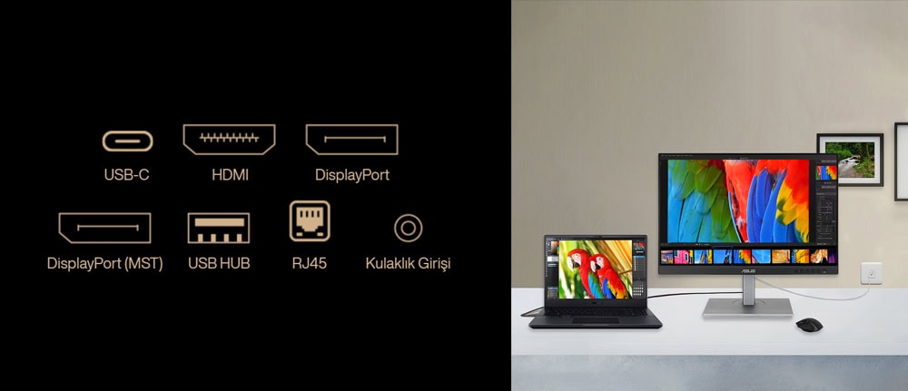 ProArt Display PA248CNV ASUS ProArt PA248CNV 24.1 inç 75Hz WUXGA Adaptive Sync IPS Pivot Profesyonel Monitör h13