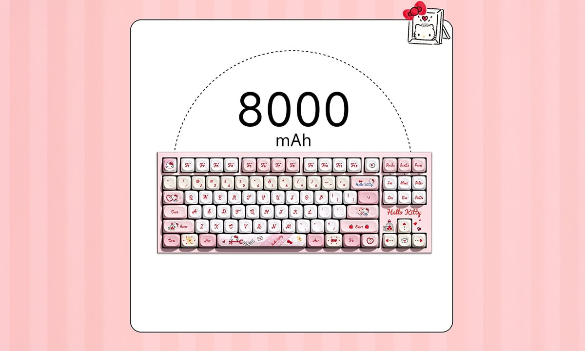 8.000 mAh pil