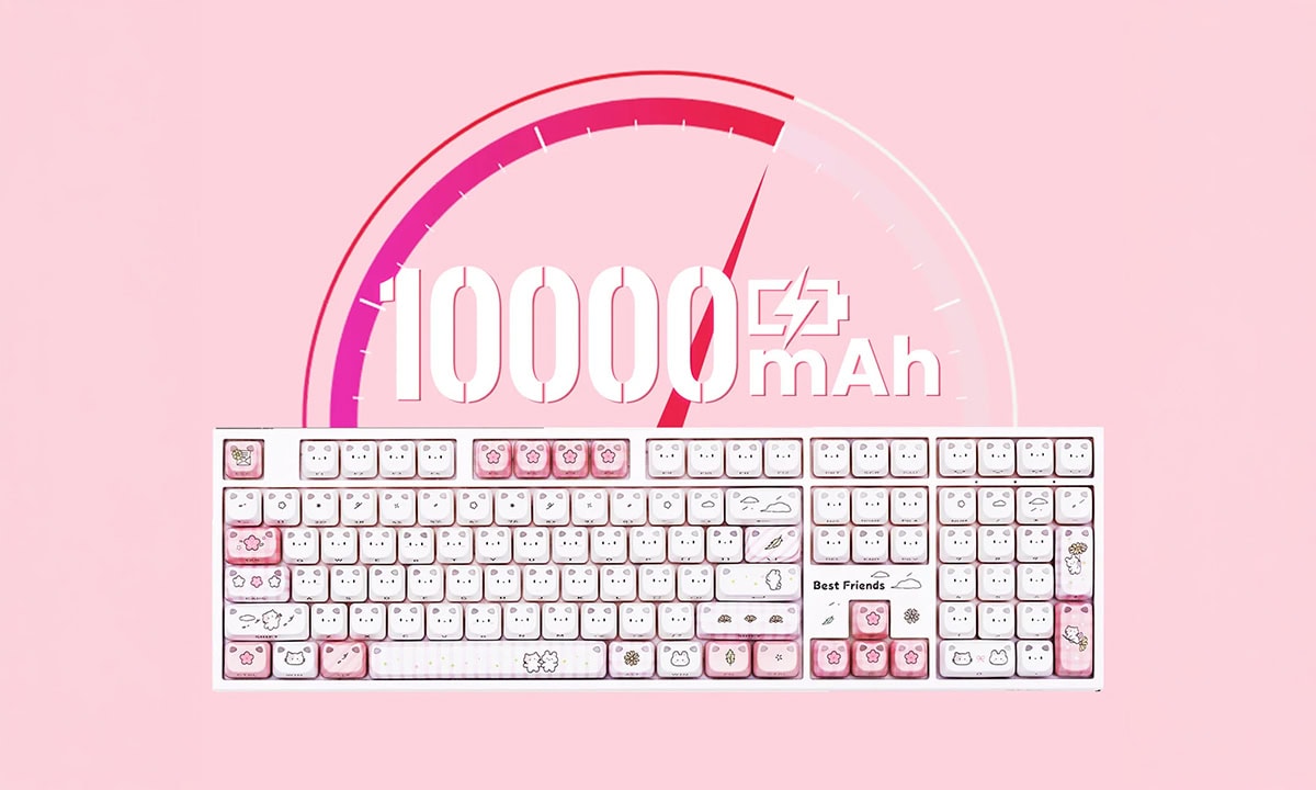 10,000 mAh pil